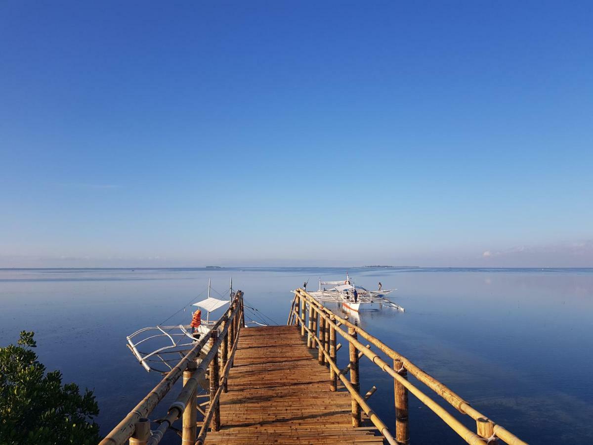 פנגלאו Virgin Island Beach Resort & Spa מראה חיצוני תמונה